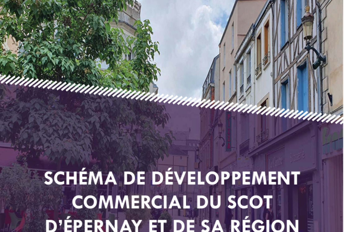 schéma développement économique